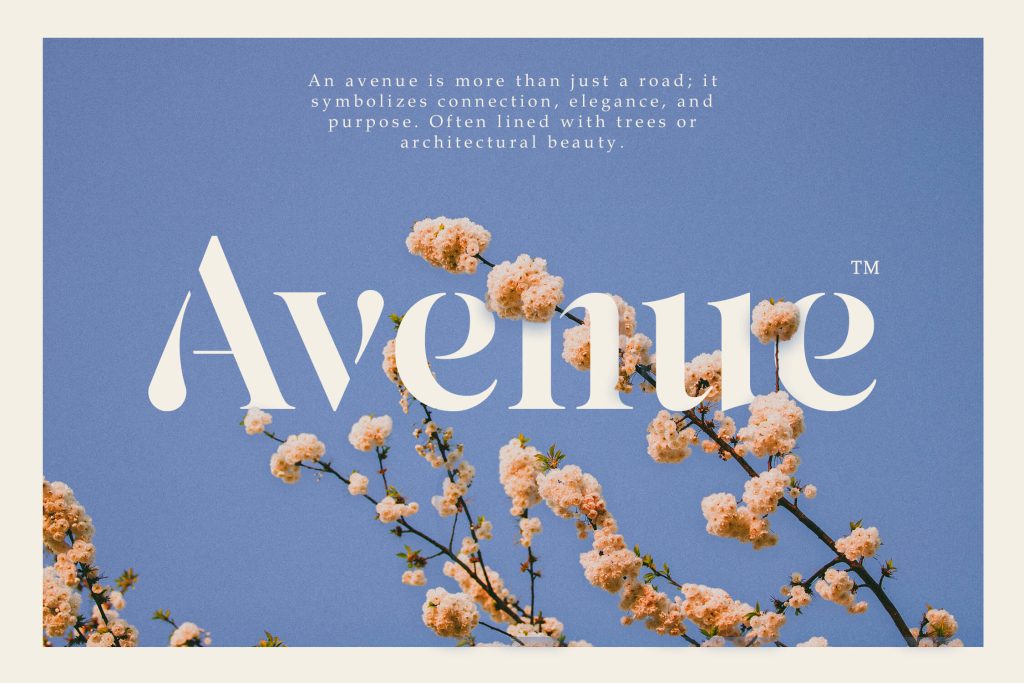 Elegant Display Serif Font