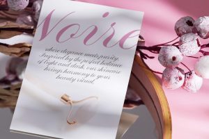 Elegant Modern Script Font