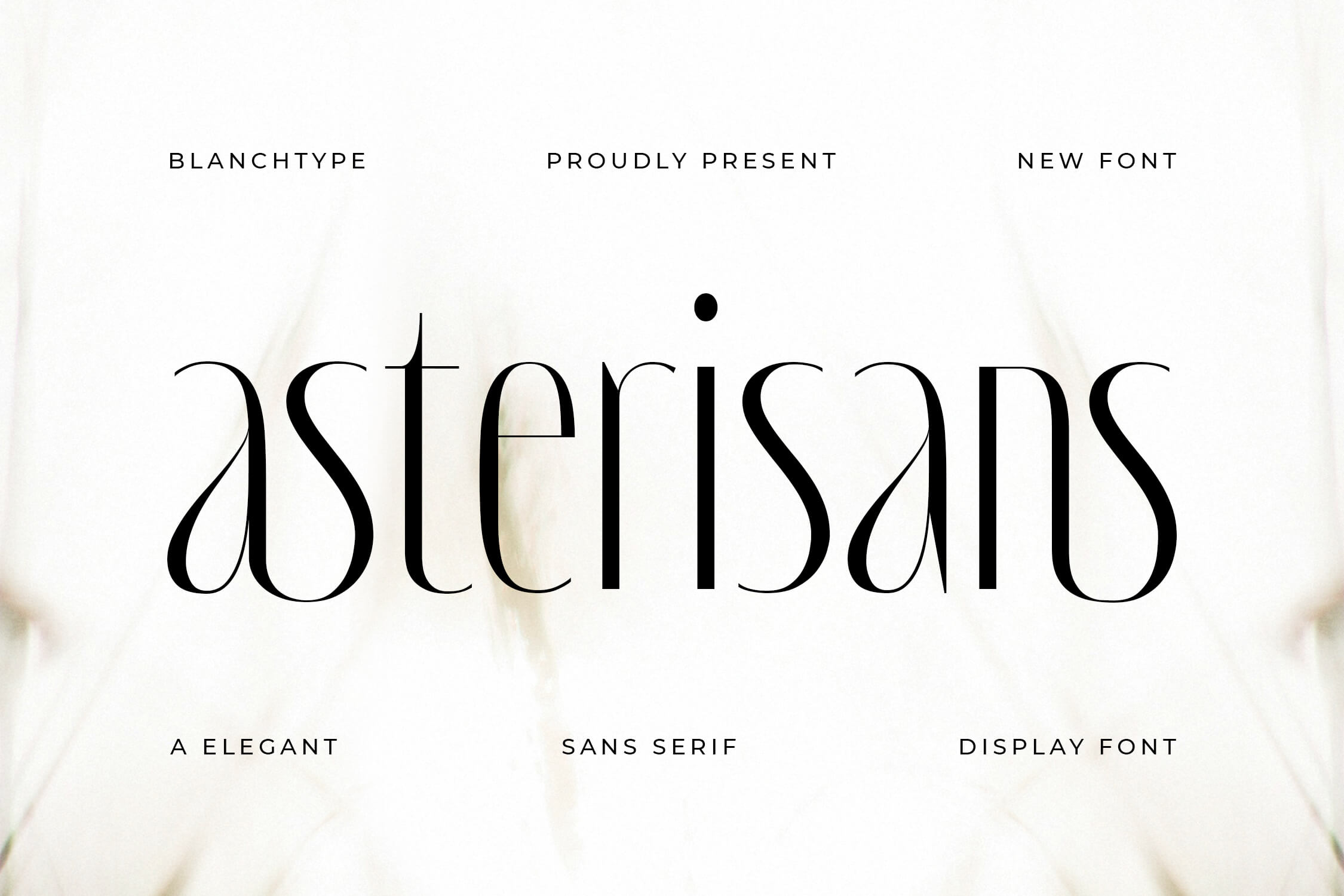 Elegant Sans Serif Display Font