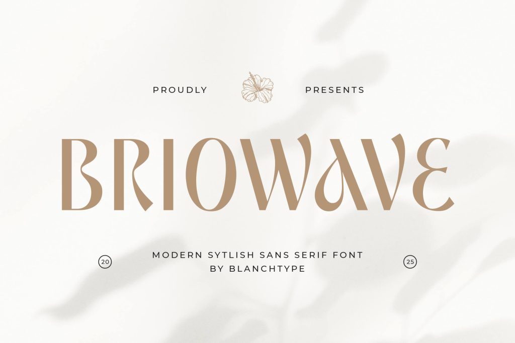 Modern Stylish Sans Serif Font
